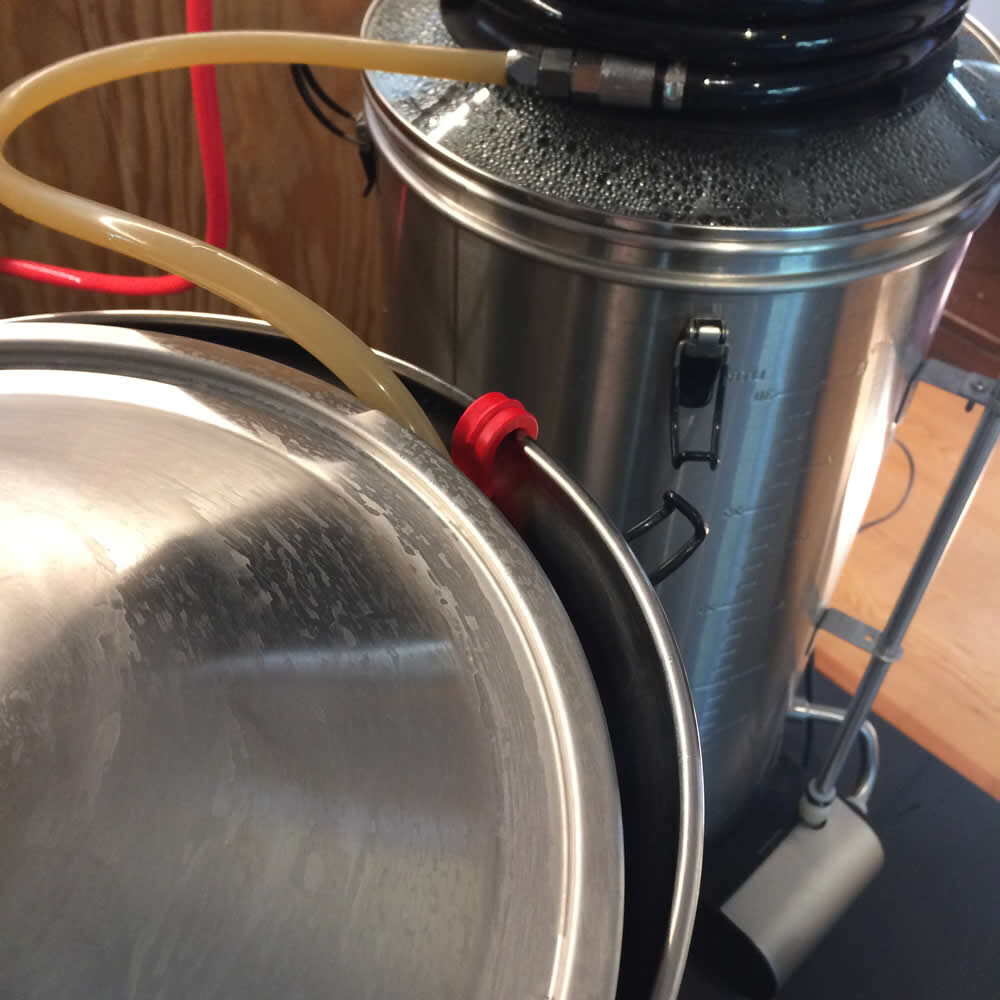 Transferring to the conical fermenter with the grainfather glycol chiller