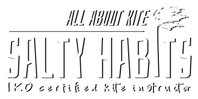Salty Habits Logo